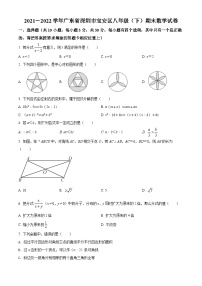 广东省深圳市宝安区2021-2022学年八年级下学期期末数学试题