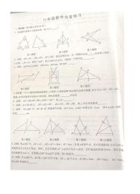 江苏省镇江市句容市华阳片2023-2024学年+八年级上学期10月考数学试卷