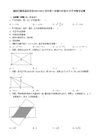 广东省深圳市福田区耀华实验学校2023-2024学年上学期九年级10月月考数学试卷