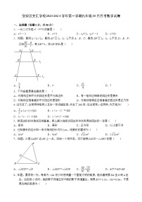 广东省深圳市宝安区文汇学校2023-2024学年上学期九年级10月月考数学试卷