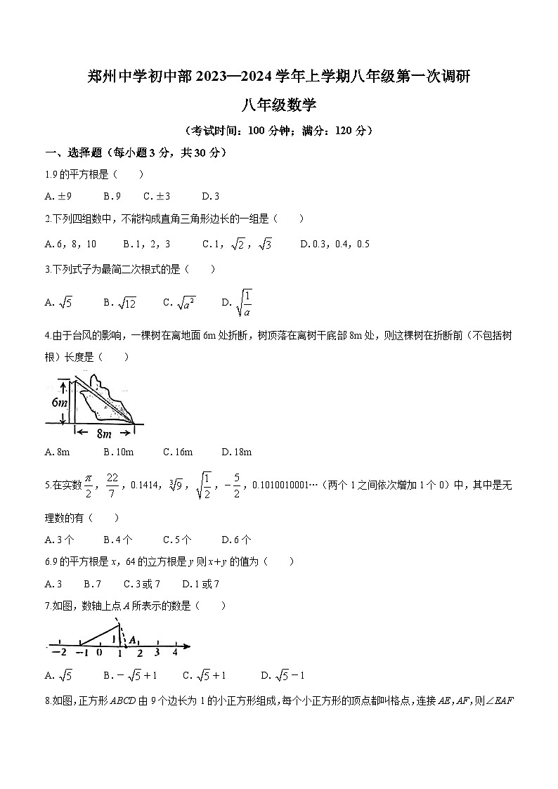 河南省郑州市郑州中学2023-2024学年八年级上学期第一次月考数学试题(无答案)第1页