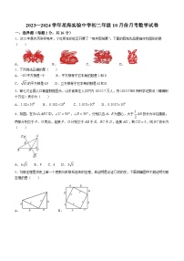 江苏省苏州市苏州工业园区星海实验中学2023-2024学年八年级上学期10月月考数学试题(无答案)