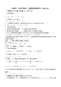 辽宁省大连市西岗区第三十四中学2023-2024学年七年级上学期10月月考数学试题(无答案)