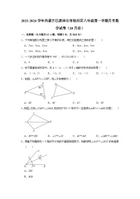 内蒙古巴彦淖尔市临河区2023-2024学年八年级上学期月考数学试卷（10月份）