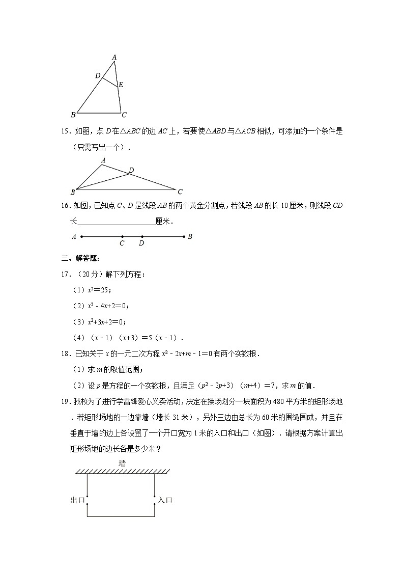 山东省济南第五中学2023-2024学年九年级上学期月考数学试卷（10月份）03