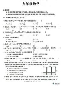 河南省周口市淮阳区河南省淮阳中学2023-2024学年九年级上学期10月月考数学试题