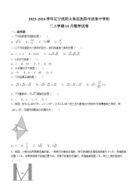 辽宁省沈阳市大东区沈东初级中学2023-2024学年八年级上学期10月月考数学试题