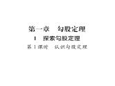 北师大版八年级数学上册第1章勾股定理1探索勾股定理第1课时  认识勾股定理课时训练课件PPT