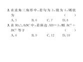 北师大版八年级数学上册第1章勾股定理1探索勾股定理第1课时  认识勾股定理课时训练课件PPT