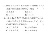 北师大版八年级数学上册第1章勾股定理2  一定是直角三角形吗课时训练课件PPT