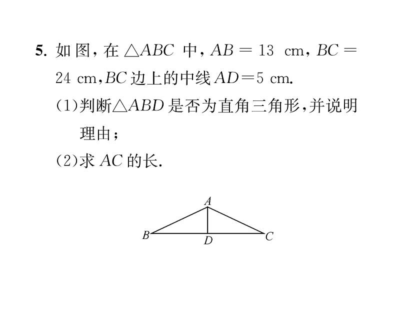 北师大版八年级数学上册第1章勾股定理2  一定是直角三角形吗课时训练课件PPT第6页