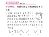 北師大版八年級(jí)數(shù)學(xué)上冊(cè)第1章勾股定理3  勾股定理的應(yīng)用課時(shí)訓(xùn)練課件PPT