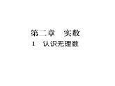 北师大版八年级数学上册第2章实数1  认识无理数课时训练课件PPT