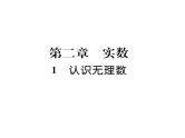 北师大版八年级数学上册第2章实数1  认识无理数课时训练课件PPT
