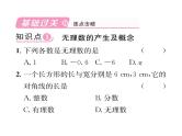 北师大版八年级数学上册第2章实数1  认识无理数课时训练课件PPT