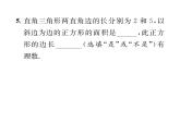 北师大版八年级数学上册第2章实数1  认识无理数课时训练课件PPT