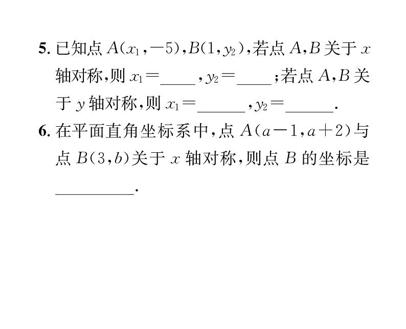 北师大版八年级数学上册第3章位置与坐标3  轴对称与坐标变化课时训练课件PPT05