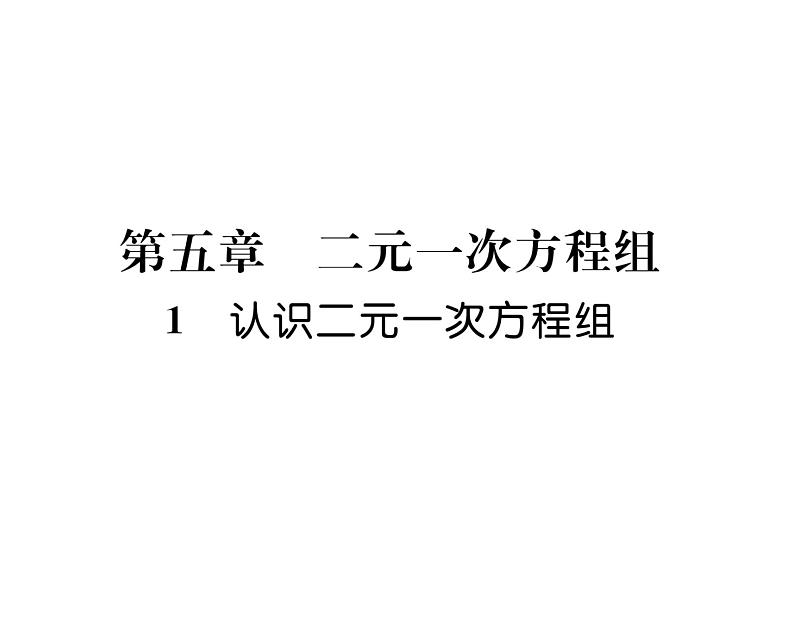 北师大版八年级数学上册第5章二元一次方程组1  认识二元一次方程组课时训练课件PPT01