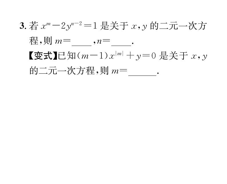 北师大版八年级数学上册第5章二元一次方程组1  认识二元一次方程组课时训练课件PPT04