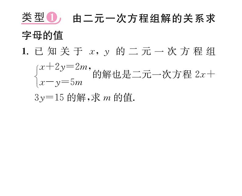 北师大版八年级数学上册第5章二元一次方程组小专题10  求二元一次方程组中字母参数的值课时训练课件PPT第2页