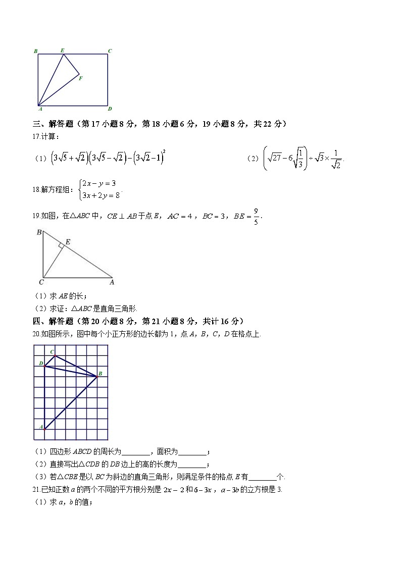 辽宁省沈阳市皇姑区第四十三中学2023-2024学年八年级上学期10月月考数学试题03