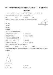 黑龙江省大庆市肇源县第五中学2023-2024学年八年级上学期月考数学试卷（10月份 ）