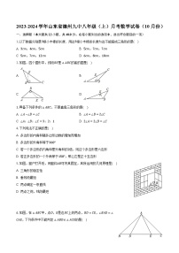 山东省德州市第九中学2023-2024学年八年级上学期月考数学试卷（10月份）