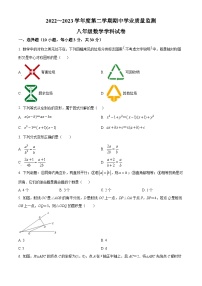 精品解析：广东省深圳市南山实验教育集团麒麟中学2022-2023学年八年级下学期期中数学试题