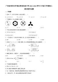 精品解析：广东省深圳市罗湖区翠园初级中学2021-2022学年八年级下学期线上期末数学试题