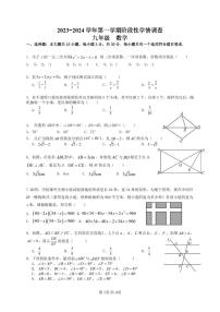 广东省 深圳市 宝安区深圳市美中学校2023-2024学年九年级上学期月考数学试题