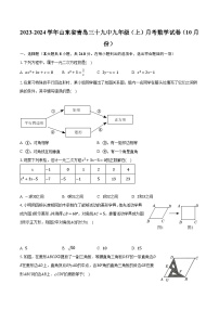 2023-2024学年山东省青岛三十九中九年级（上）月考数学试卷（10月份）(含解析）