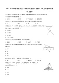 2023-2024学年湖北省天门市华斯达学校八年级（上）月考数学试卷（9月份）(含解析）