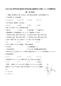 2023-2024学年河北省沧州市东光县五校联考九年级（上）月考数学试卷（10月份）（含解析）