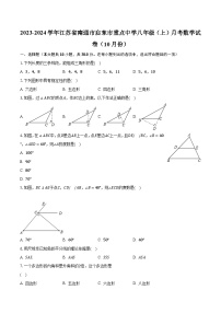 2023-2024学年江苏省南通市启东市重点中学八年级（上）月考数学试卷（10月份）（含解析）