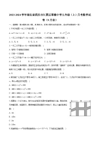 2023-2024学年湖北省武汉市江夏区翠微中学九年级（上）月考数学试卷（9月份）（含解析）