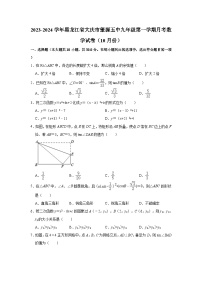 黑龙江省大庆市肇源县第五中学2023-—2024学年九年级上学期10月月考数学试题