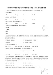 浙江省台州市临海市2022-2023学年七年级上学期期末数学试卷