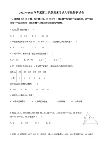 湖北省武汉市东湖高新区2022-2023学年八年级下学期期末考试数学试题