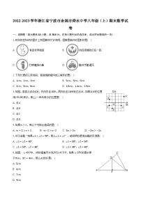 2022-2023学年浙江省宁波市余姚市舜水中学八年级（上）期末数学试卷（含解析）