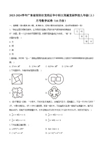 2023-2024学年广东省深圳市龙岗区华中师大附属龙园学校九年级（上）月考数学试卷（10月份）(含解析）