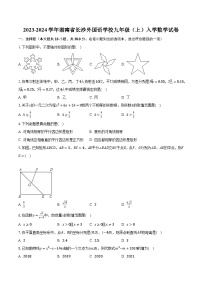 2023-2024学年湖南省长沙外国语学校九年级（上）入学数学试卷（含解析）