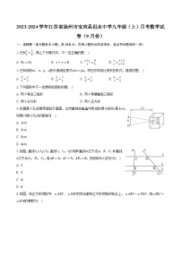 2023-2024学年江苏省扬州市宝应县氾水中学九年级（上）月考数学试卷（9月份）（含解析）