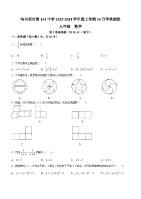 黑龙江省哈尔滨市南岗区第一六三中学校2023-2024学年九年级上学期10月月考数学试题