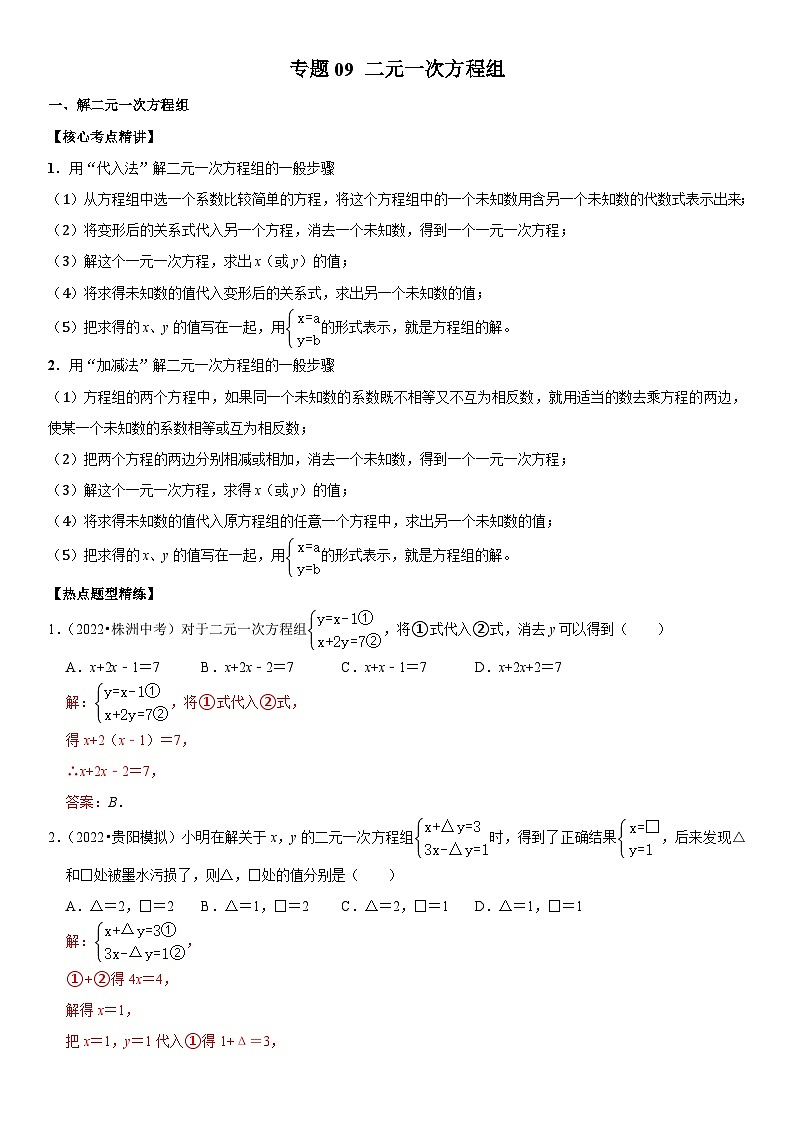 中考数学一轮复习核心考点精讲精练专题09 二元一次方程组（解析版）第1页