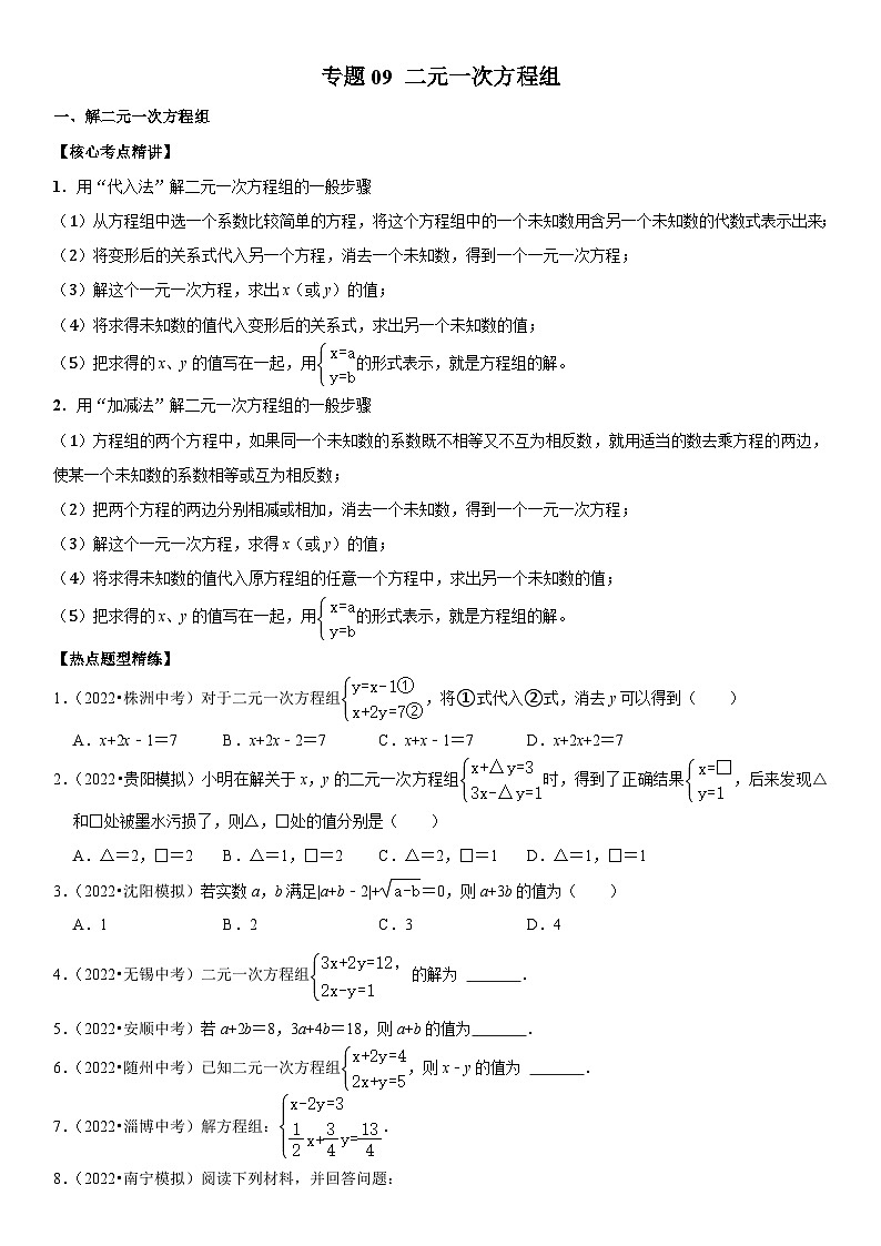 中考数学一轮复习核心考点精讲精练专题09 二元一次方程组（原卷版）第1页