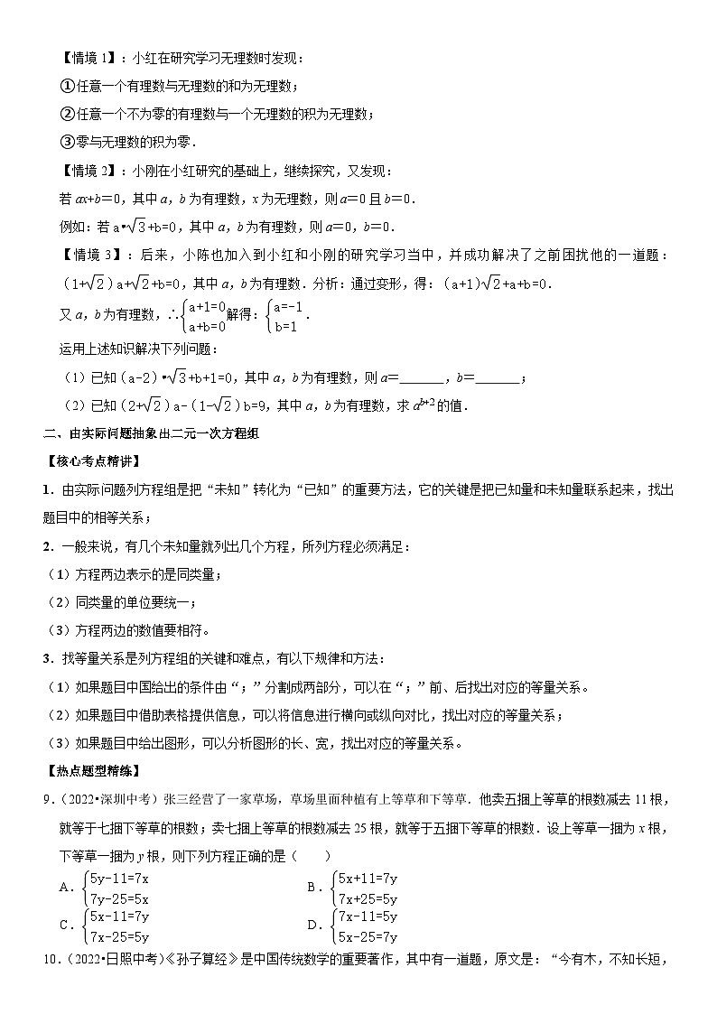 中考数学一轮复习核心考点精讲精练专题09 二元一次方程组（原卷版）第2页