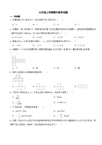 山东省菏泽市2023年七年级上学期期中数学试题（附答案）