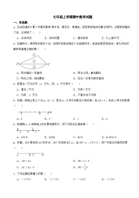 山东省聊城市2023年七年级上学期期中数学试题（附答案）