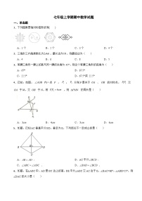 山东省威海市2023年七年级上学期期中数学试题（附答案）