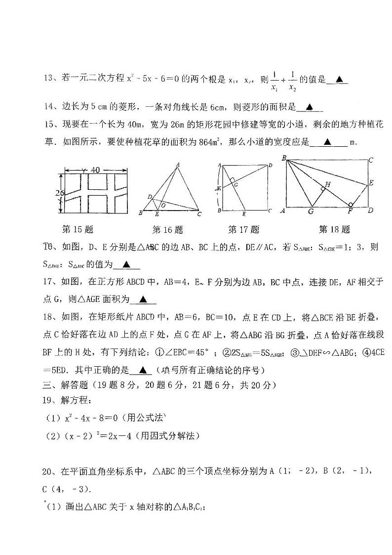 辽宁省丹东市第十九中学2023-2024学年九年级上学期10月月考数学试题03